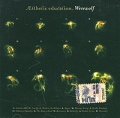 Esthetic Education Werewolf Формат: Audio CD (Jewel Case) Дистрибьюторы: Торговая Фирма "Никитин", Навигатор Рекордс Лицензионные товары Характеристики аудионосителей 2007 г Альбом: Российское издание инфо 4231d.
