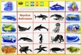 Морские животные Лото Серия: Окружающий мир инфо 4495d.
