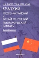 Краткий русско-китайский и китайско-русский экономический словарь Бизнес & Финансы Чень Чан Цзай Нина Баско инфо 5342d.